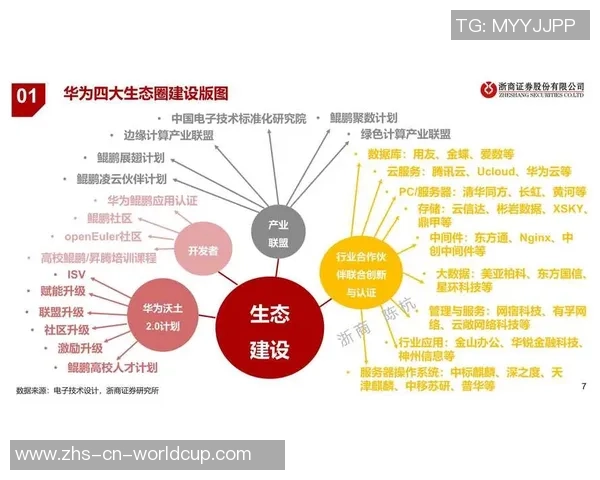 重庆排球队技术分析与战术创新的深度探讨与展望